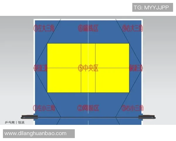 聚焦北京乒乓球队个人能力提升与发展策略探讨