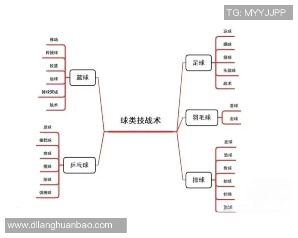 深入探讨武汉篮球队的战术配合与其他球队的差异与优势分析